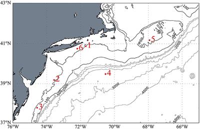 Dark Reduction Drives Evasion of Mercury From the Ocean